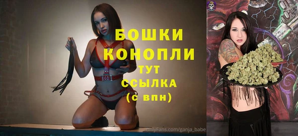 PSILOCYBIN Яровое