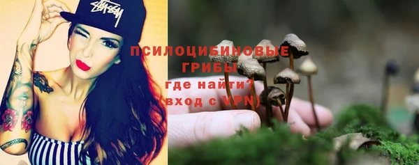 PSILOCYBIN Яровое